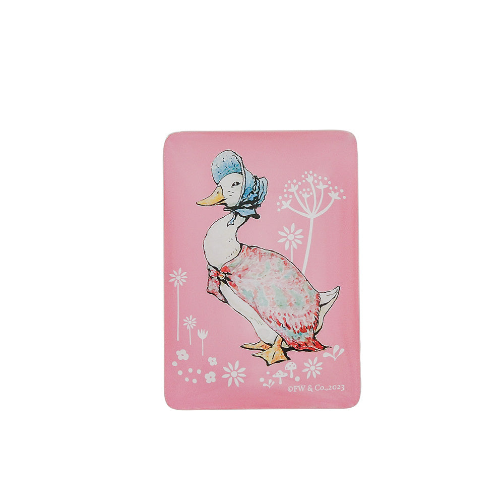 Peter Rabbit Magnets