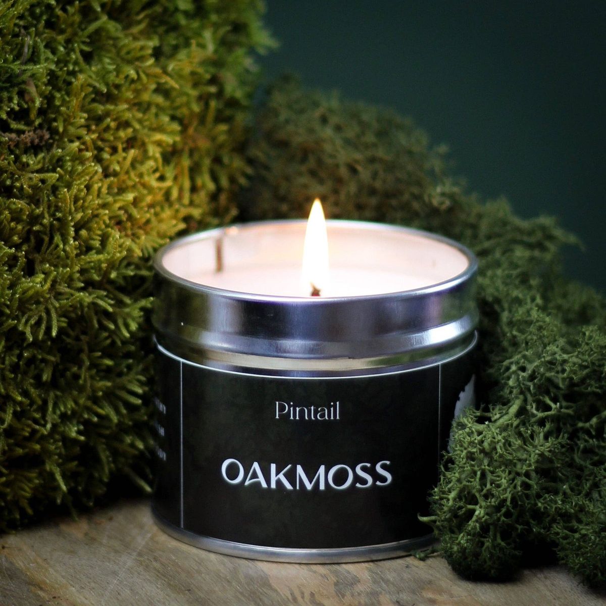 Pintail - Medium Tin Candle