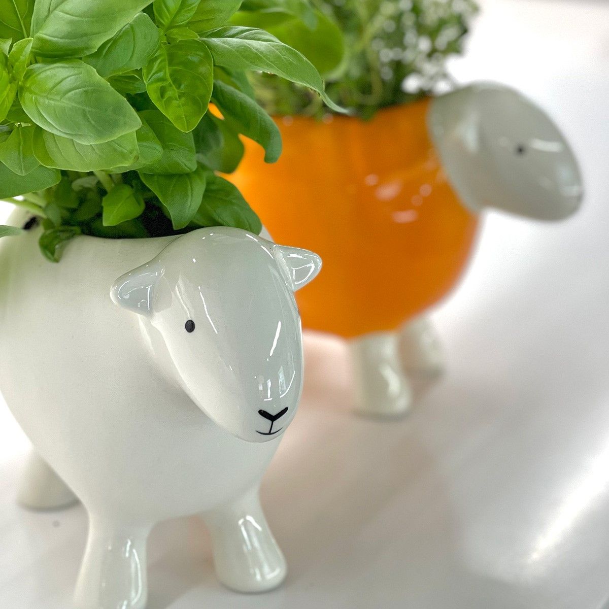 Herdy Planter